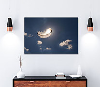 Obraz Letiace pierko 1356